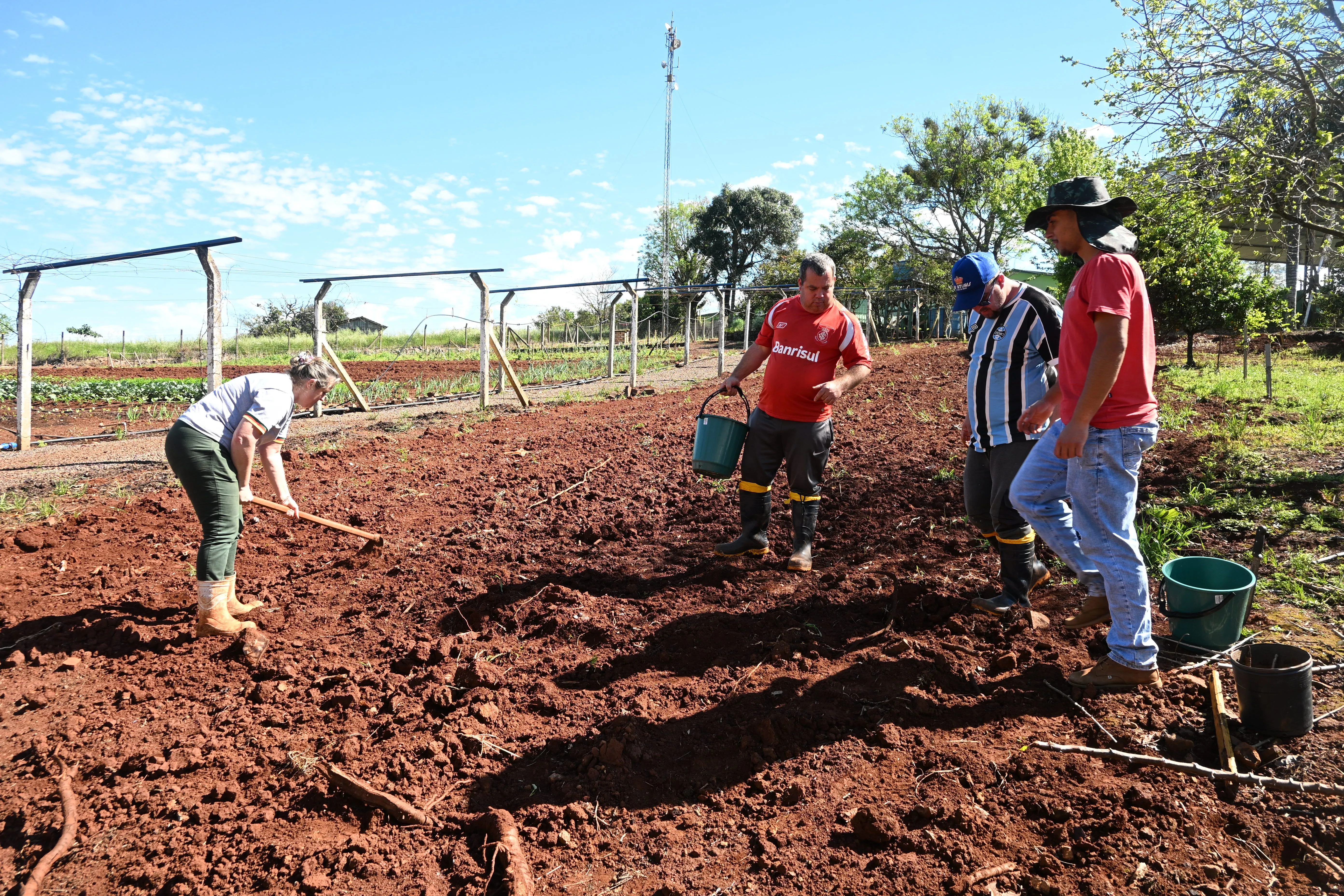 Imagem destaque da notícia: Plantio de culturas de verão é iniciado no Viveiro Municipal